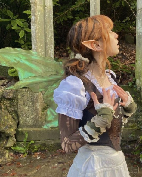 Elf Ears