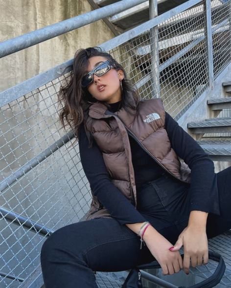 Vintage Puffer Vest Brown