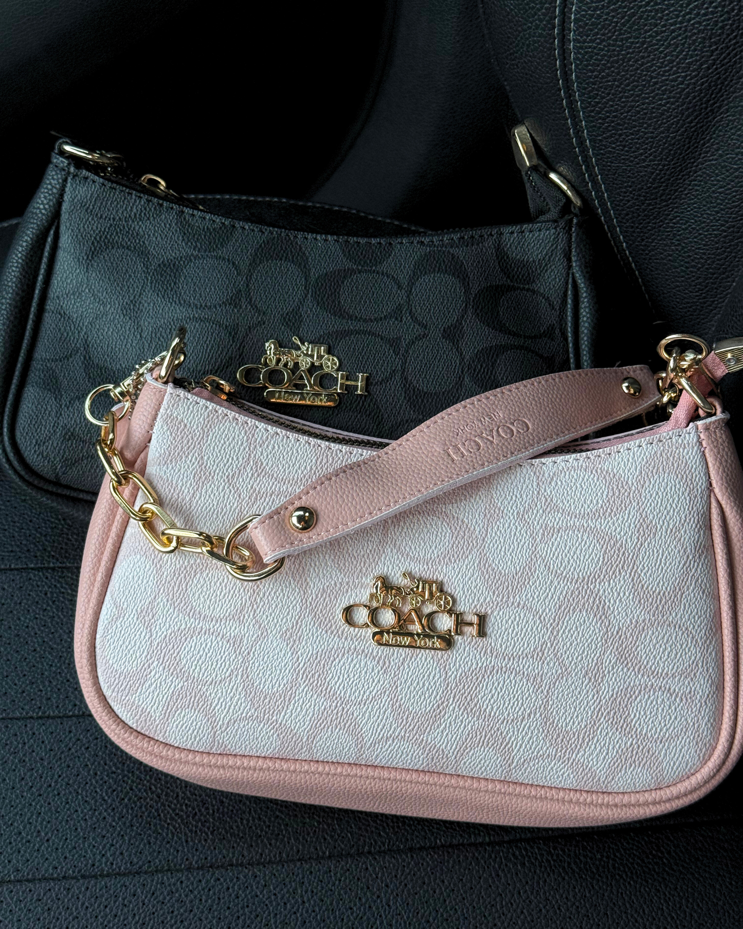 Coche Baguette Bag in Pink