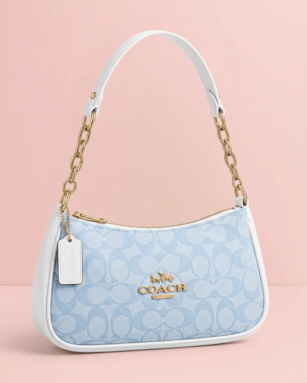 Coche Baguette Bag in Baby Blue