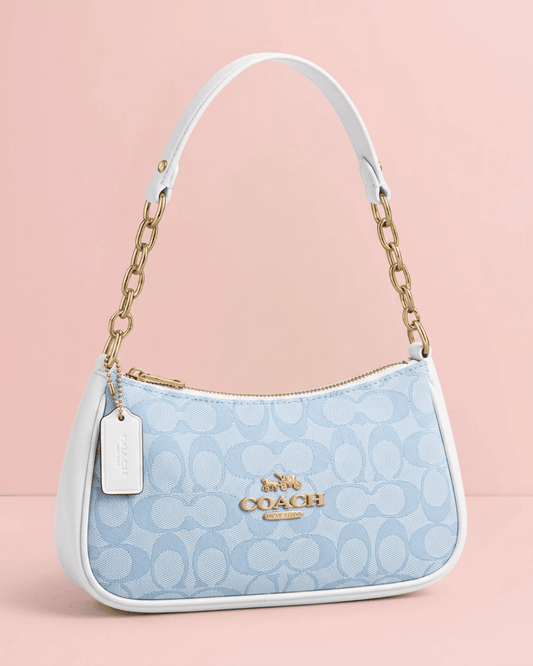 Coche Baguette Bag in Baby Blue