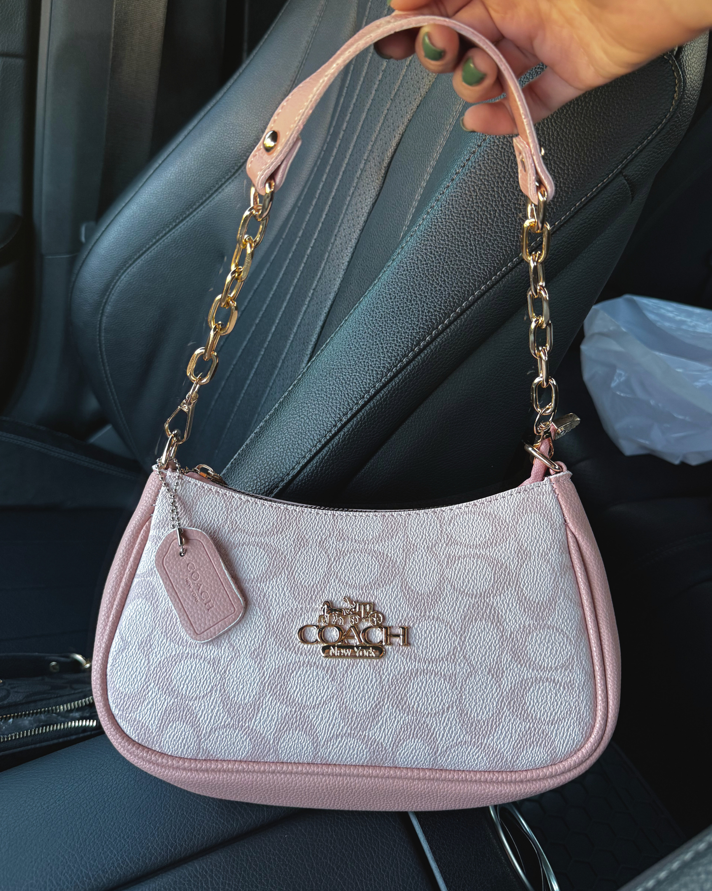 Coche Baguette Bag in Pink